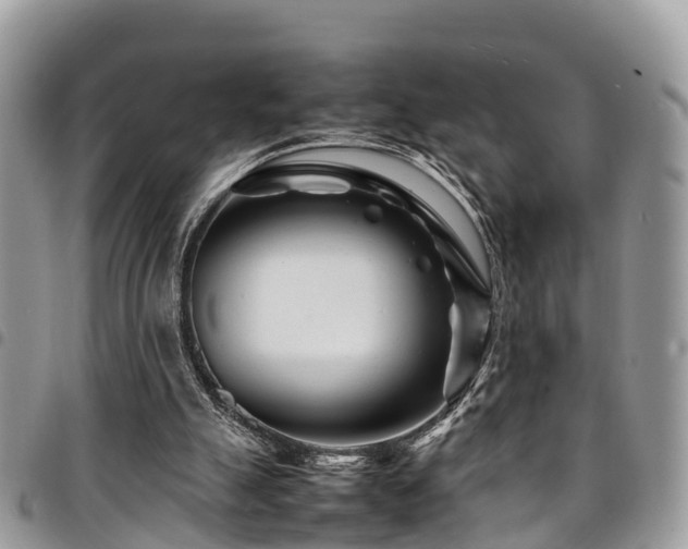 X0000094930055200711291343