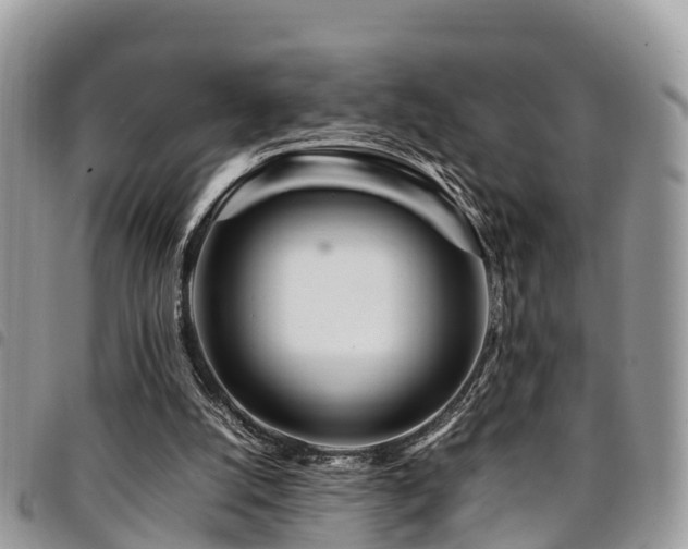 X0000094930056200711291343