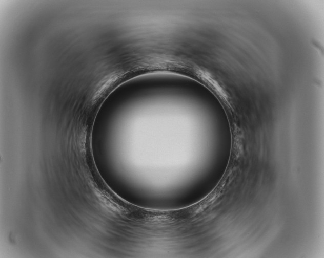 X0000094930058200711291343