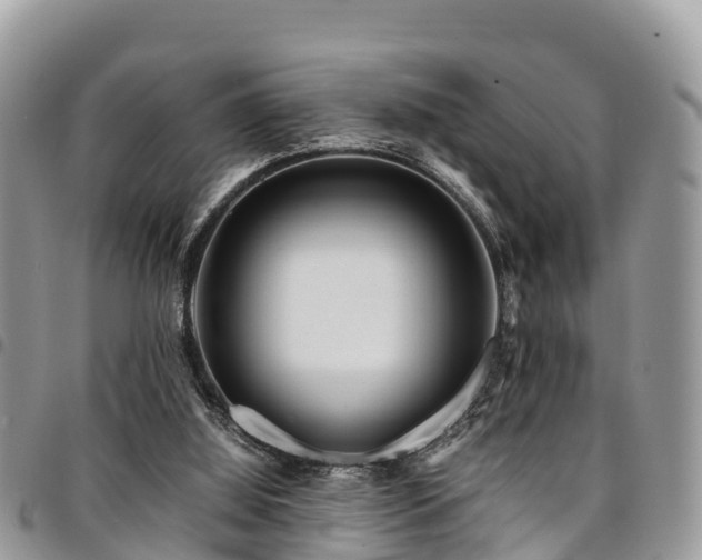 X0000094930060200711291343