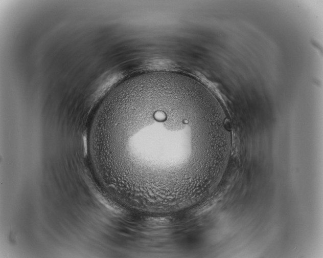 X0000094930061200711291344