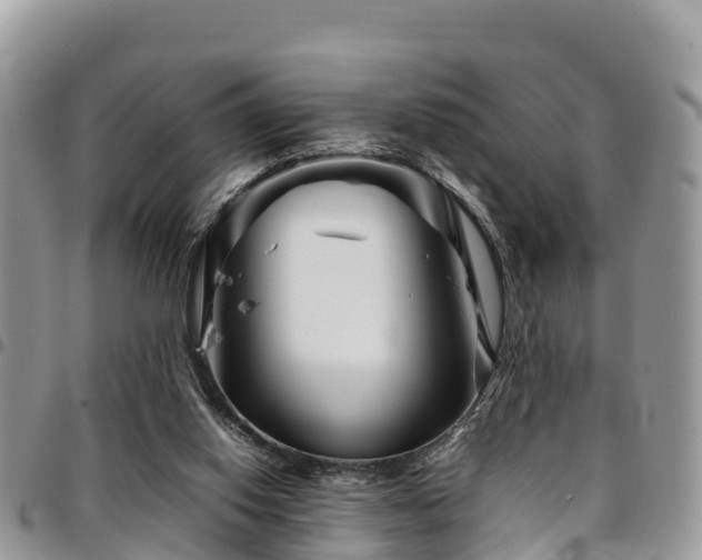 X0000094930062200711291344