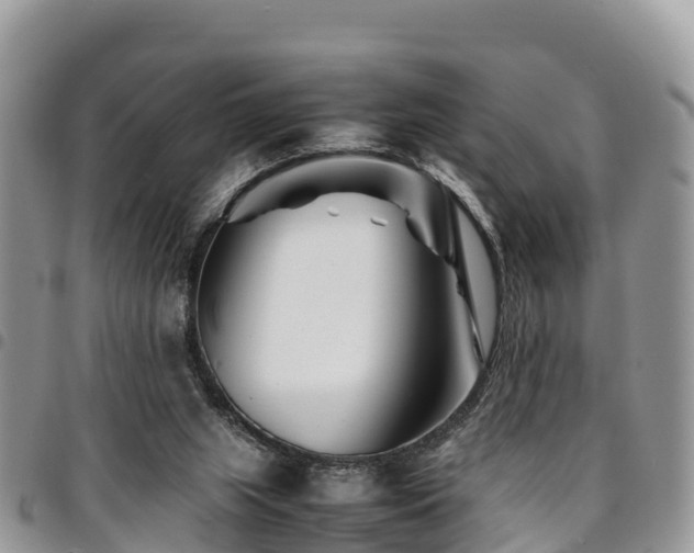 X0000094930063200711291344