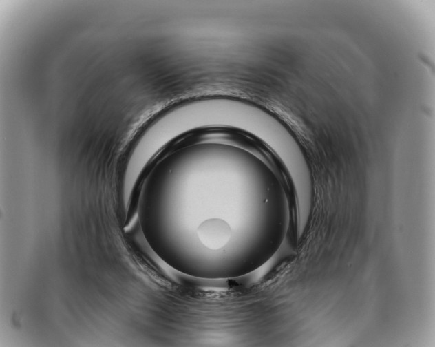 X0000094930064200711291344