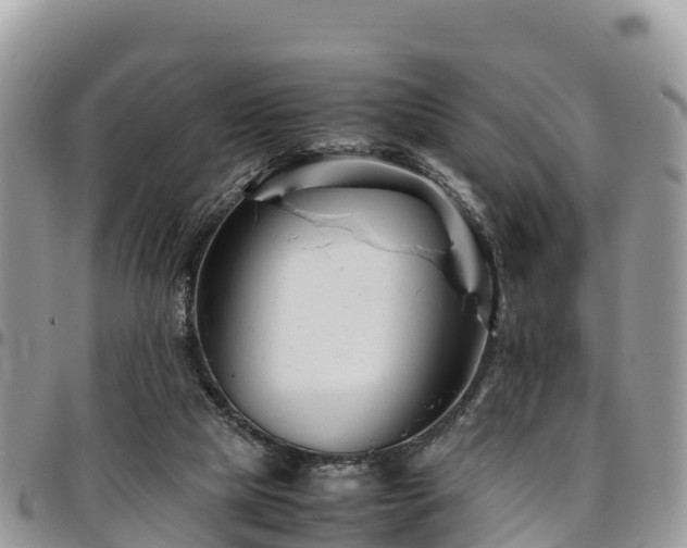 X0000094930065200711291344