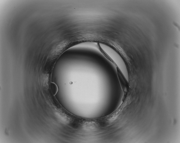 X0000094930066200711291344