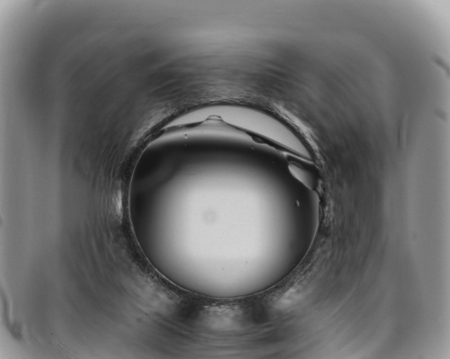 X0000094930067200711291344