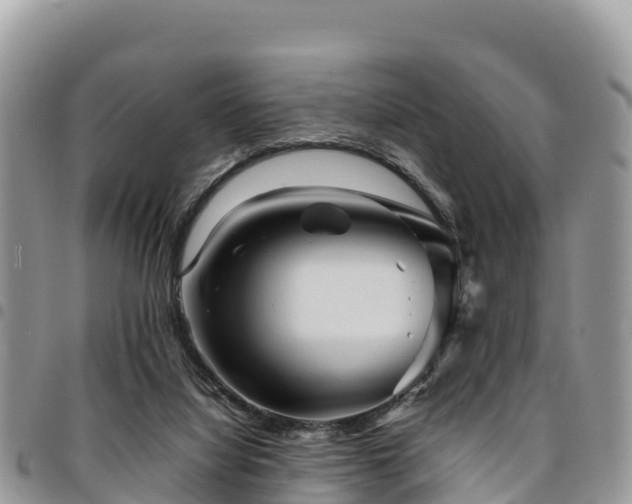 X0000094930068200711291344