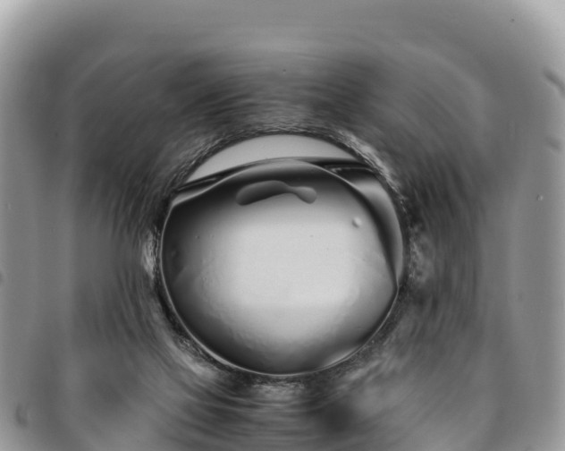 X0000094930069200711291344