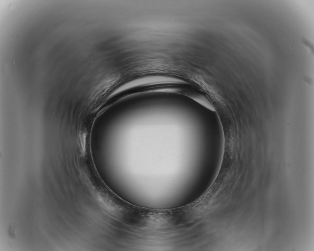 X0000094930070200711291344