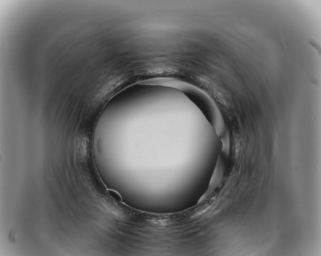 X0000094930071200711291344