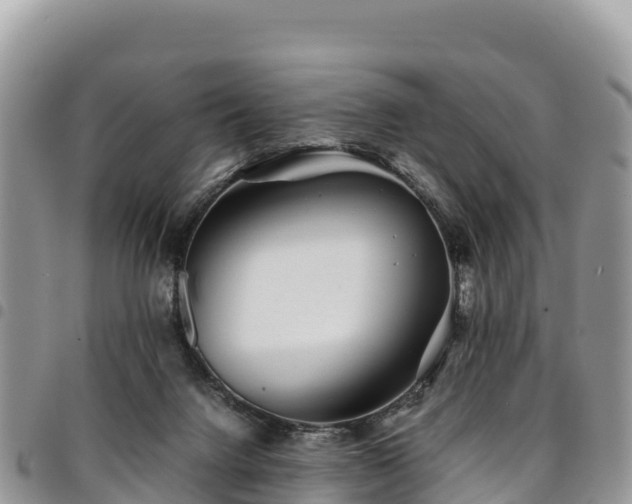X0000094930072200711291344