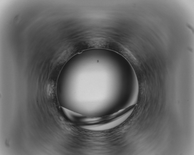 X0000094930073200711291344