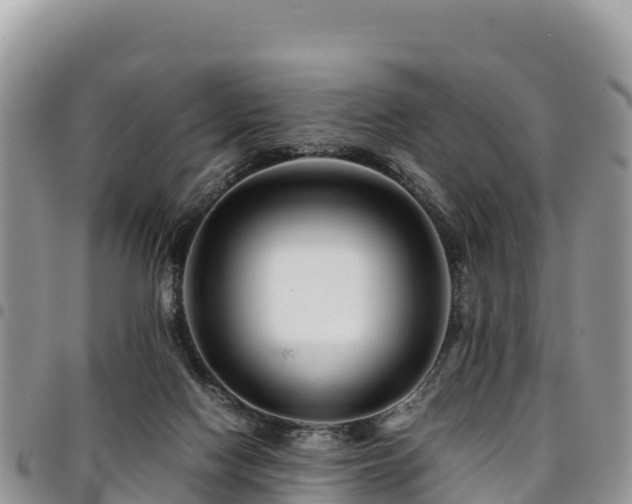 X0000094930074200711291344
