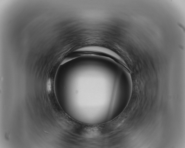 X0000094930075200711291344