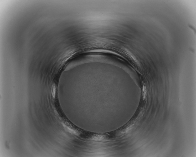 X0000094930076200711291344
