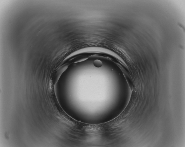 X0000094930077200711291344