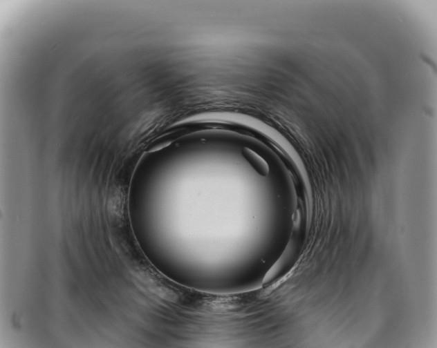 X0000094930078200711291344