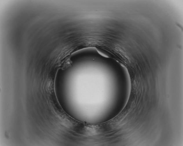 X0000094930079200711291344