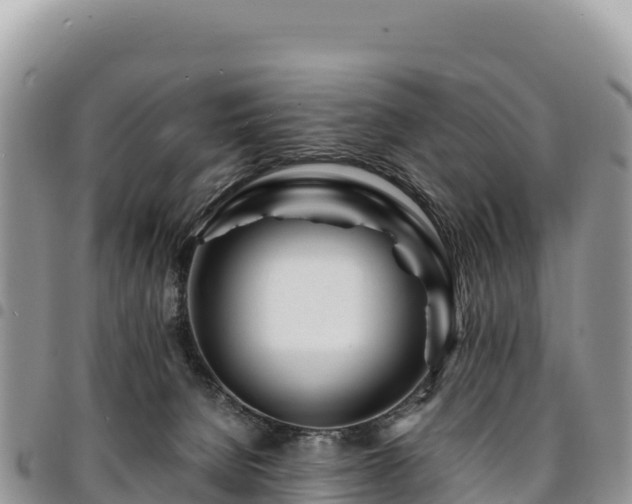 X0000094930080200711291344