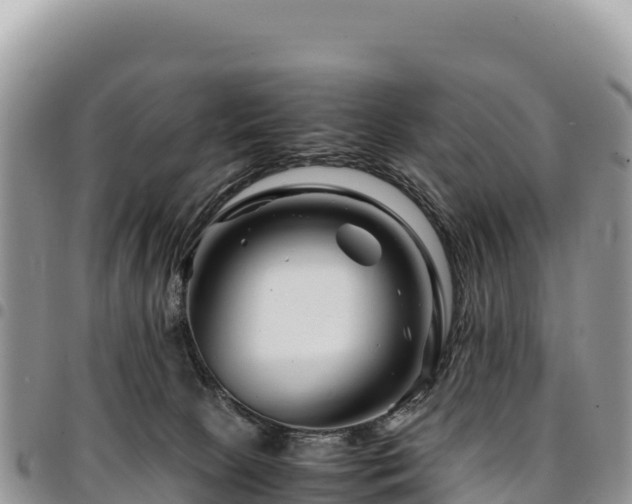 X0000094930081200711291344