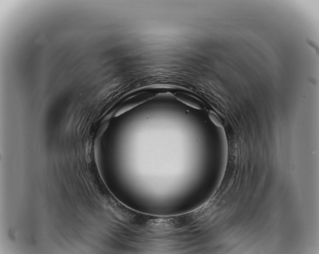 X0000094930082200711291344