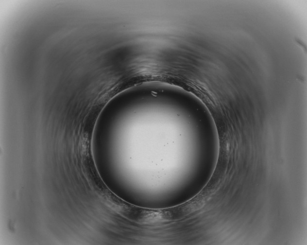 X0000094930083200711291344