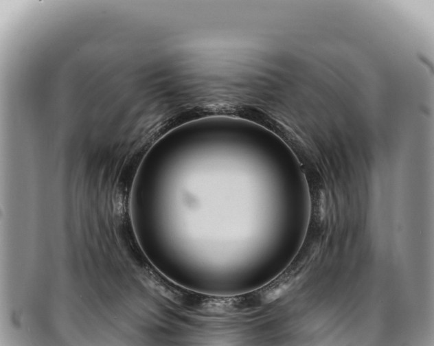 X0000094930084200711291344