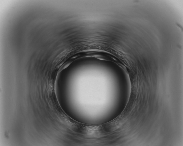 X0000094930085200711291344