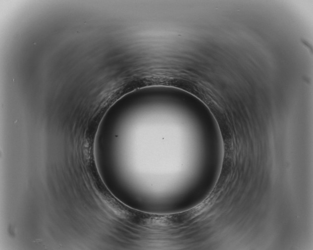 X0000094930086200711291344