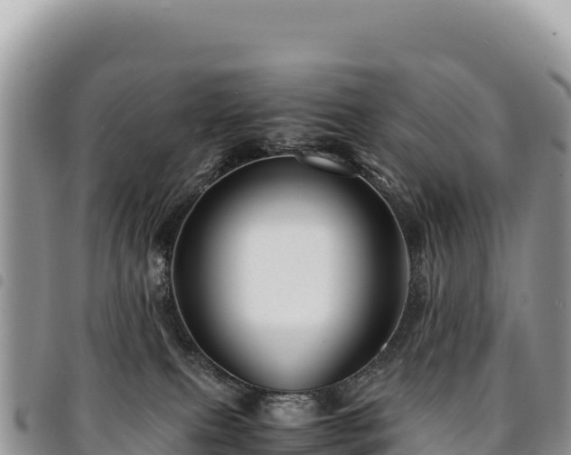 X0000094930087200711291344