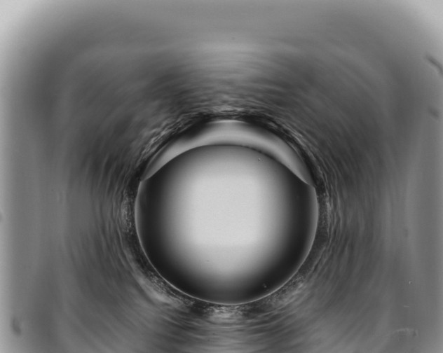 X0000094930088200711291344