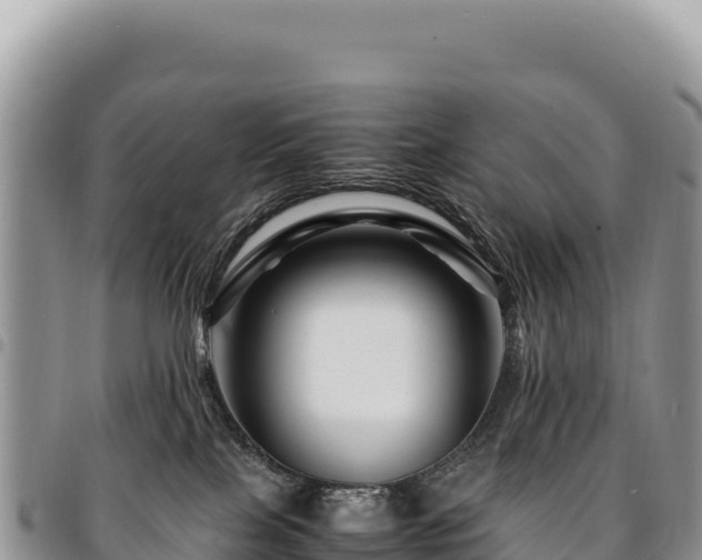 X0000094930089200711291344