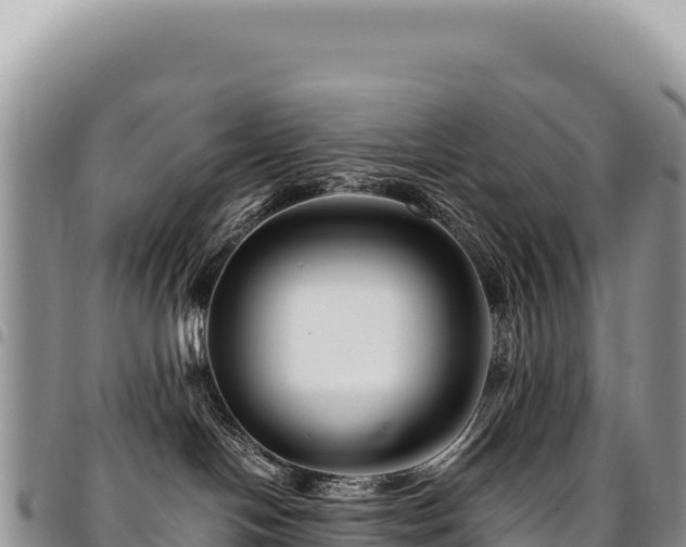 X0000094930094200711291344