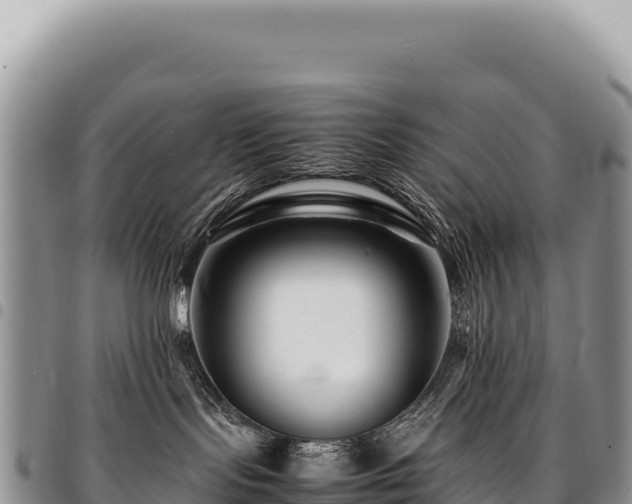 X0000094930095200711291344