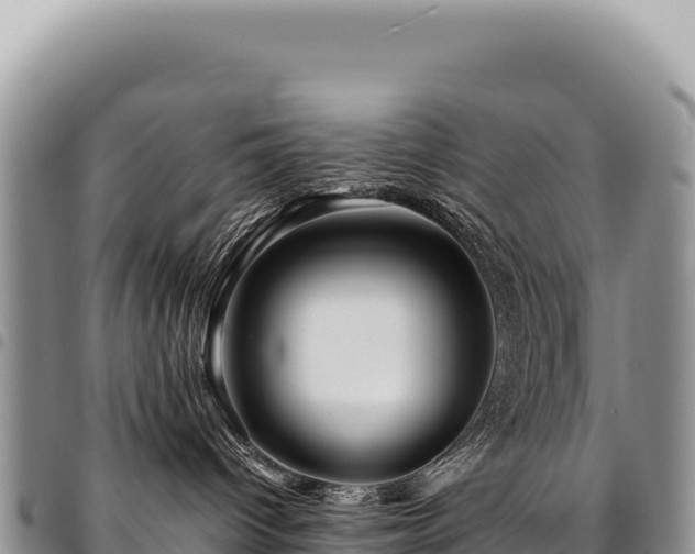 X0000094930096200711291344