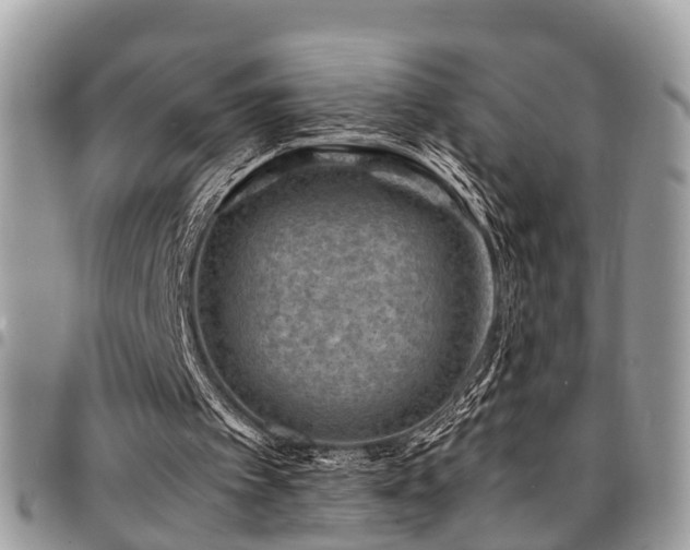 X0000094930097200711291343