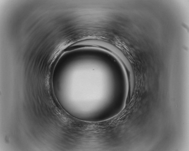 X0000094930098200711291343