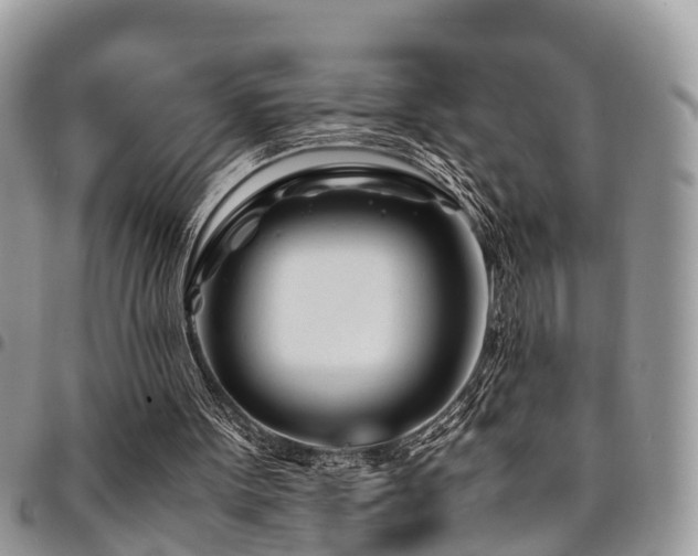 X0000094930099200711291343