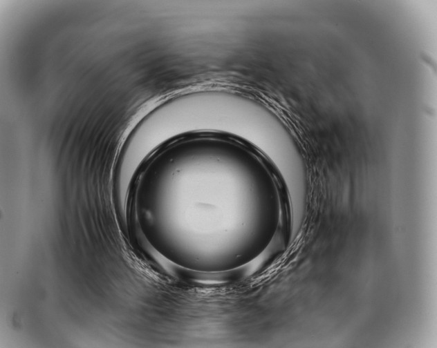X0000094930100200711291343
