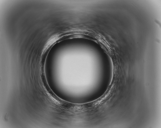 X0000094930101200711291343