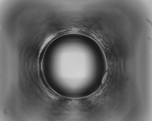 X0000094930102200711291343