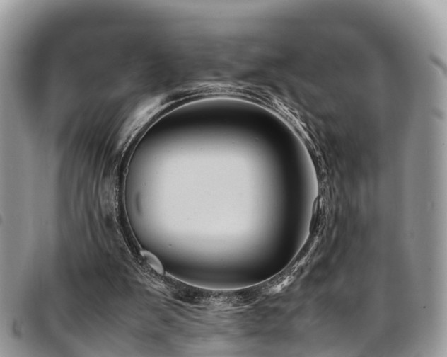 X0000094930103200711291343