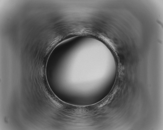 X0000094930105200711291343