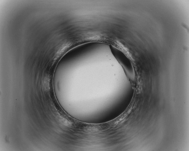 X0000094930106200711291343