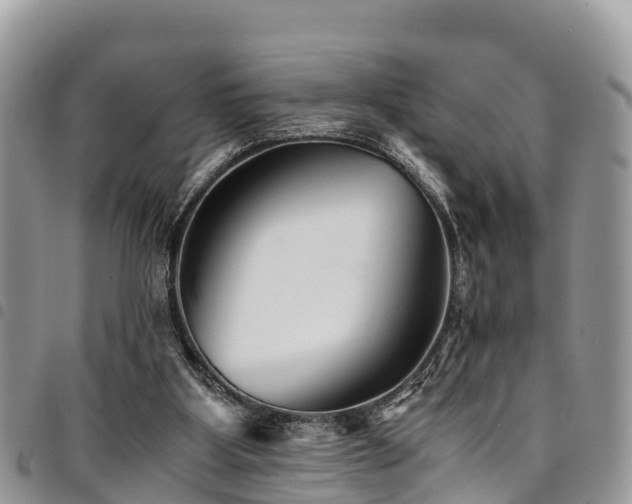 X0000094930107200711291343