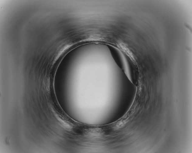 X0000094930108200711291343