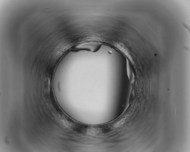 X0000094930109200711291343