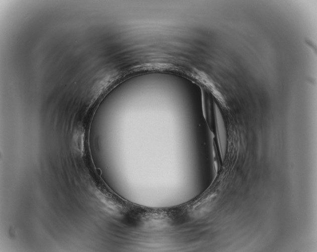 X0000094930110200711291343
