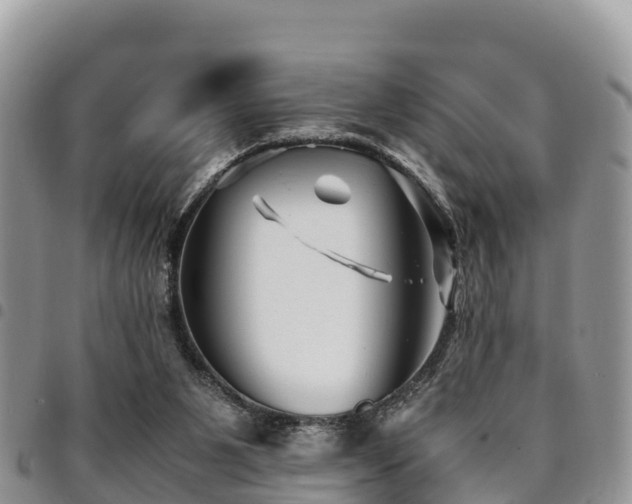 X0000094930111200711291343